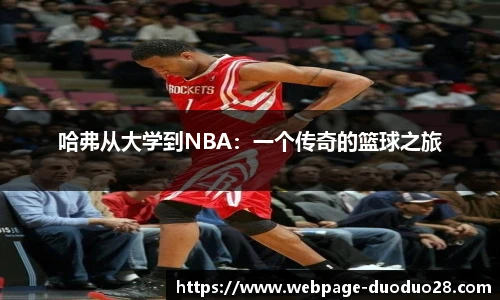 多多28官网