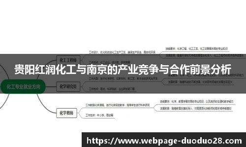 贵阳红润化工与南京的产业竞争与合作前景分析